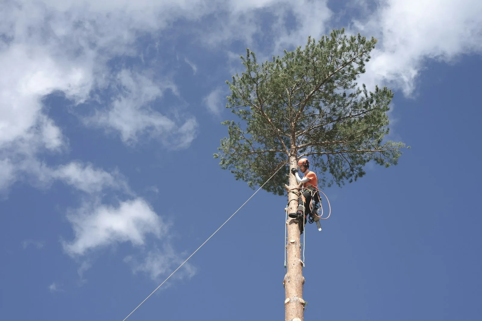 Climbing job, tight access