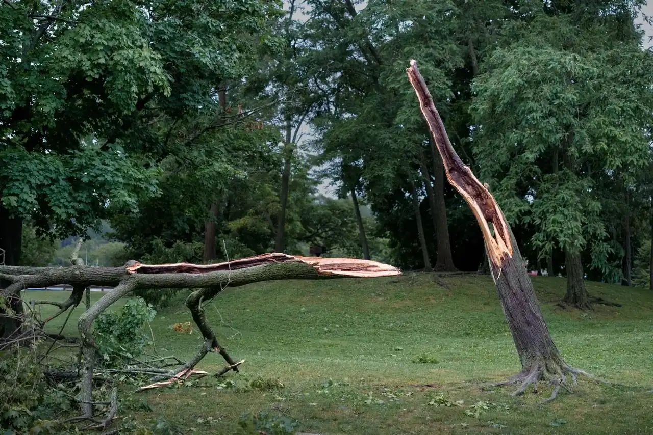 After the wind